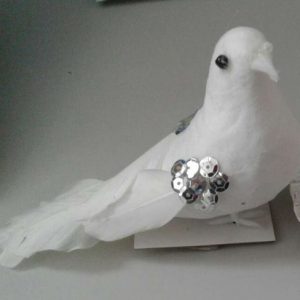 23435465_1947306588843035_1004378235_n-crop