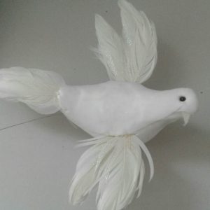 23634623_1949852845255076_1492472444_n