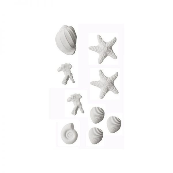 kit-conchiglie-in-zucchero