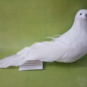 92023558_525526744828493_4025336262838714368_n