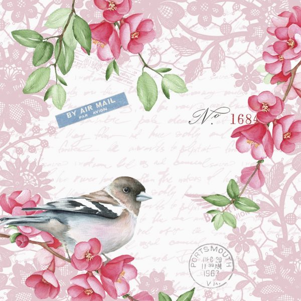 sweet bird