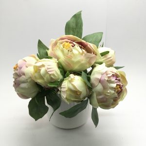 IMG_0061