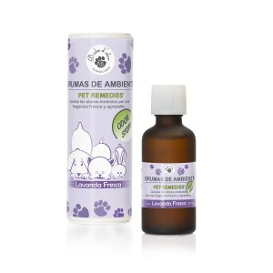 lavanda fresca
