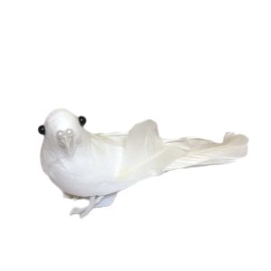 BackgroundEraser_20240206_112549339_edit_1138100010778939