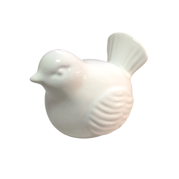 Photoroom-20240514_155548_edit_51849130326983