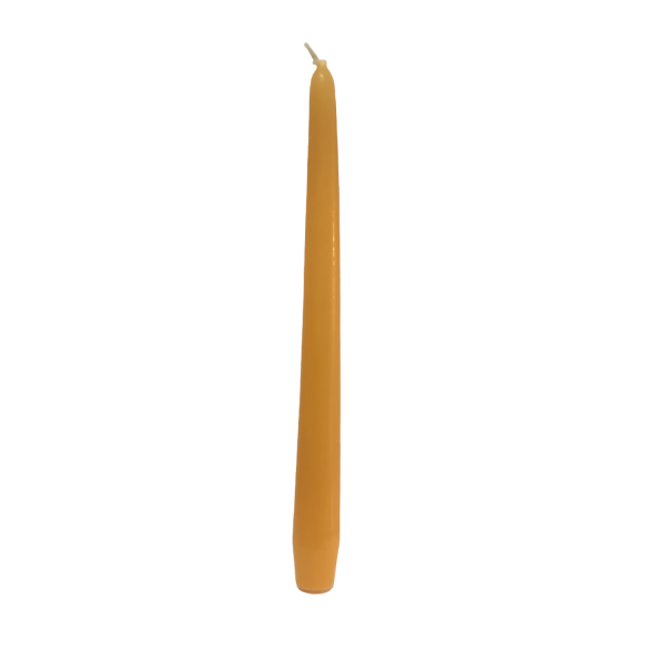 00000203839.015