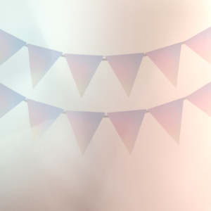 000000000288499