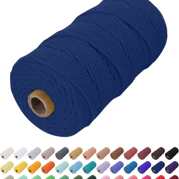 61pMw91vlFL._AC_UF1000,1000_QL80_