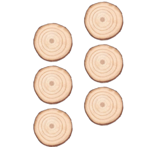 000000000910451