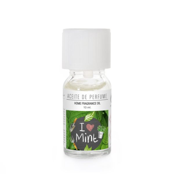 I LOVE MENTA