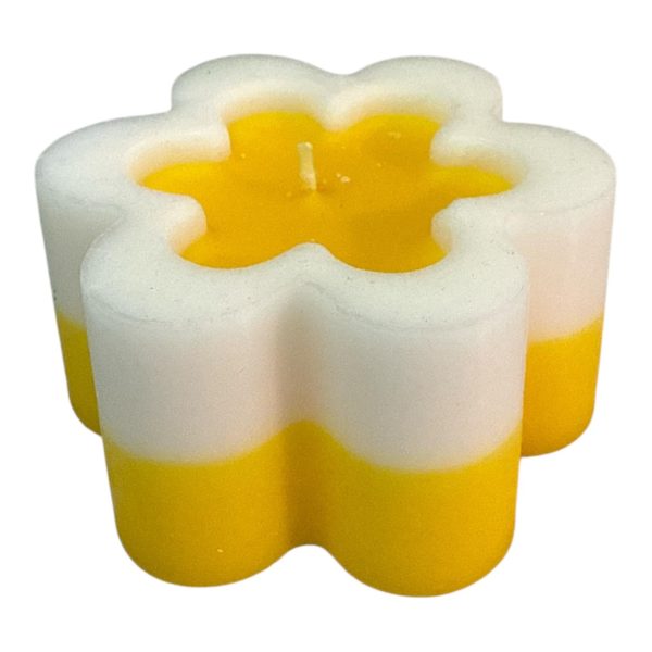 WhatsApp Image 2026-02-11 at 10.41.25