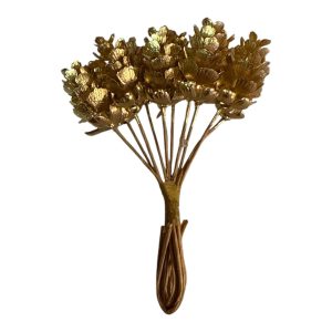 WhatsApp Image 2026-02-25 at 12.45.27