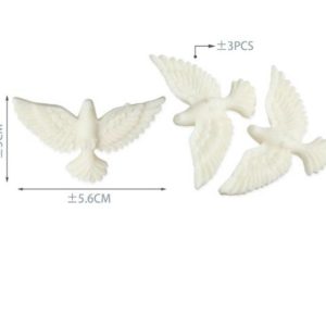 WhatsApp Image 2026-04-09 at 12.48.29